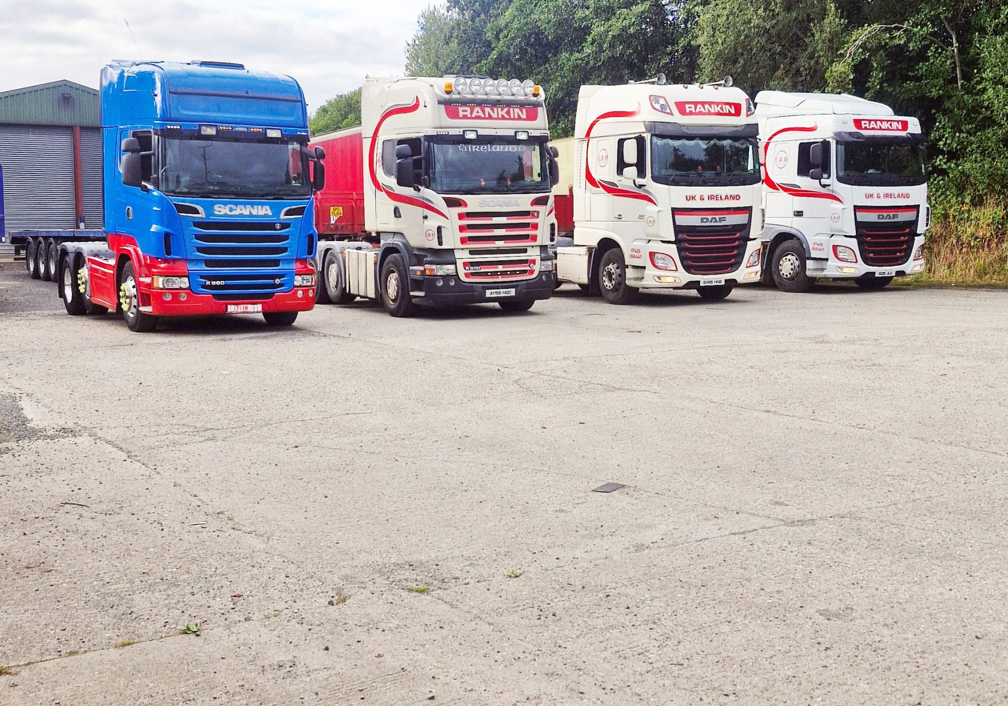 Four trucks side by side under trees
